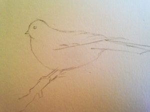 Tutoriel : Comment dessiner un oiseau au crayon en 3 étapes faciles