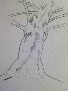 Tutoriel étape par étape pour dessiner un tronc d'arbre réaliste.