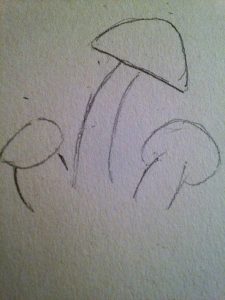 champignons-de-paris-1