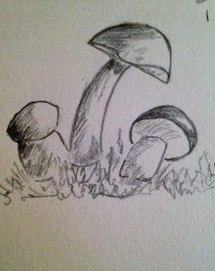 Comment apprendre à dessiner un champignon en 10 min.