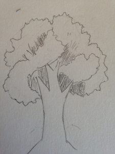 Comment dessiner un arbre : Les étapes de base pour les débutants.