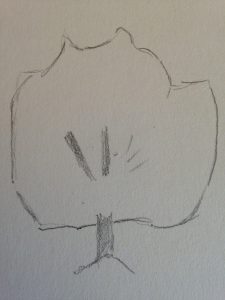 Comment dessiner un arbre : Les étapes de base pour les débutants.