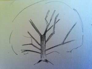 Comment dessiner un arbre : Les étapes de base pour les débutants.