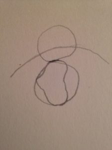 Comment dessiner un iris facilement : la forme générale