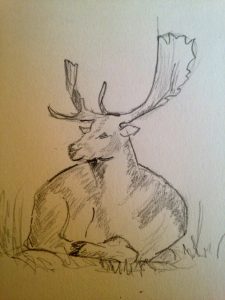 Comment Apprendre à dessiner un daim en 3 étapes.