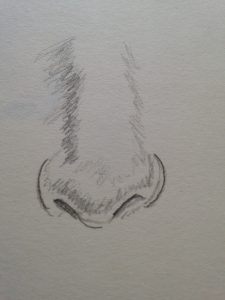 Apprendre à dessiner un nez en 5 minutes : Tutoriel rapide