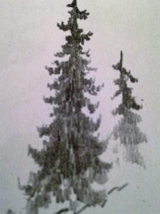 Comment dessiner un arbre  :  les formes des branches et du feuillage