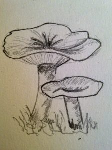 Comment apprendre a dessiner un champignon en 10 min.