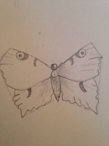 Tutoriel : Comment dessiner un papillon facilement en quelques étapes simples