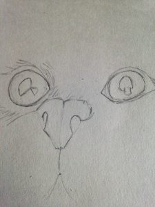 Dessin de chat angora : Tutoriel pour dessiner un museau réaliste en quelques étapes simples.