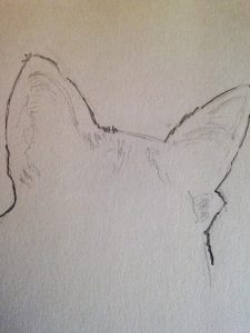 Tutoriel facile pour dessiner les adorables oreilles de chat : étape par étape