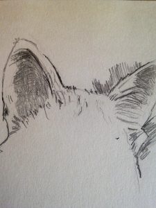 Tutoriel facile pour dessiner les adorables oreilles de chat : étape par étape
