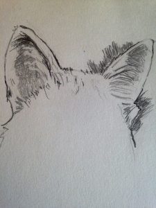 Tutoriel facile pour dessiner les adorables oreilles de chat : étape par étape