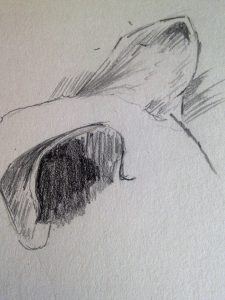 Tutoriel facile pour dessiner les adorables oreilles de chat : étape par étape