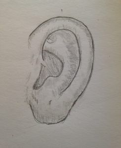 Guide complet pour apprendre à dessiner des oreilles réalistes pour un portrait.