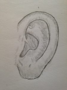 Guide complet pour apprendre à dessiner des oreilles réalistes pour un portrait.