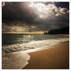 Composition de paysage : Les règles de base pour des résultats réussis.