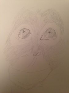 Apprendre a dessiner facilement la bouille d'un singe rigolo