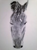 Comment dessiner facilement une tête de cheval au fusain