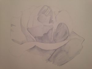 La magie d'une couleur : Comment peindre une fleur avec un seul pigment.