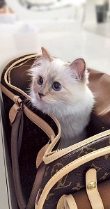 Comment faire une bonne esquisse