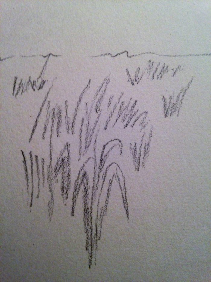 Touffes d’herbe très détaillées au premier plan et formes floues au loin dans un champ