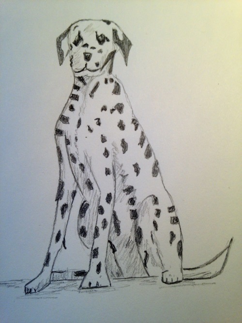dessin dalmatien étape par étape pour débutant