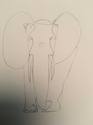 dessin éléphant défenses oreilles corps construction simple débutant