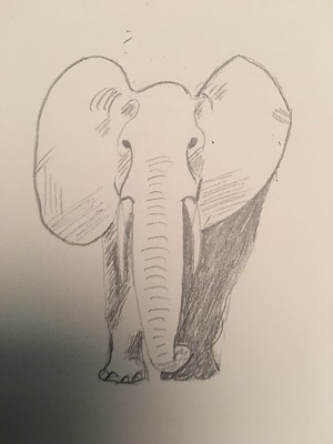 ombrage dessin éléphant facile volume débutant