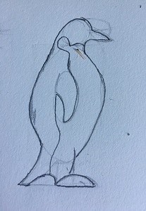 contours du pingouin renforcés au crayon 8B