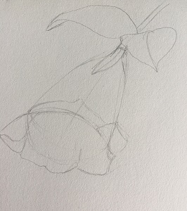 Construction simplifiée des pétales de la campanule autour de l’entonnoir