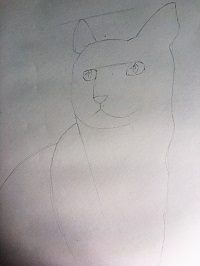 dessiner la forme générale d’un chat avec des formes simples au crayon