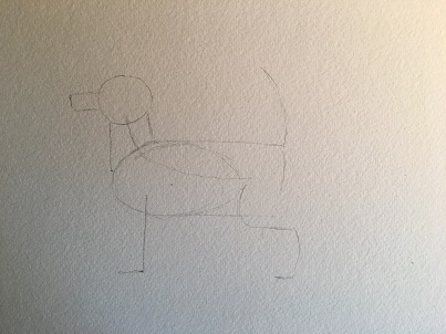 Le secret d'un pelage de chien réussi à l'aquarelle.