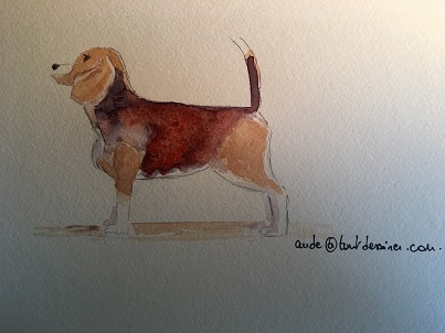 Comment peindre facilement un chien à l'aquarelle