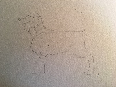 Le secret d'un pelage réussi à l'aquarelle