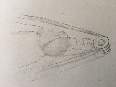 hachures estompées sur la coque de la noix pour créer la texture