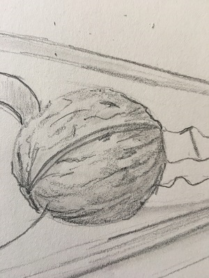 renforcement des ombres et reliefs sur la noix