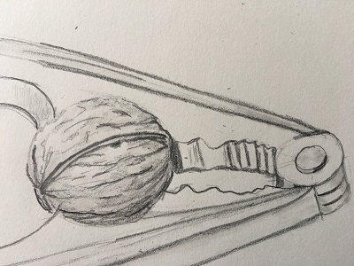 renforcement des ombres et reliefs sur la noix