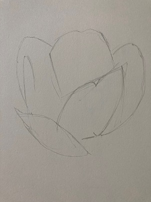 Comment dessiner une tulipe en moins de 10 min