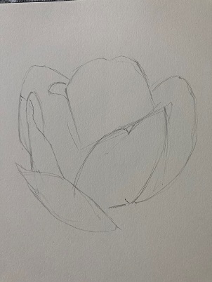 Comment dessiner une tulipe en moins de 10 min