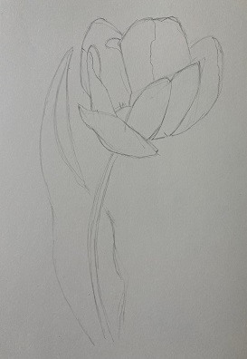 Comment dessiner une tulipe en moins de 10 min