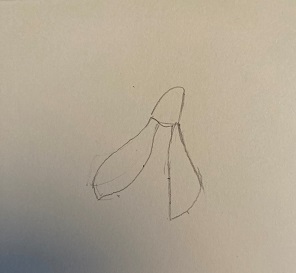 premiers pétales du perce-neige construits à partir de la clochette