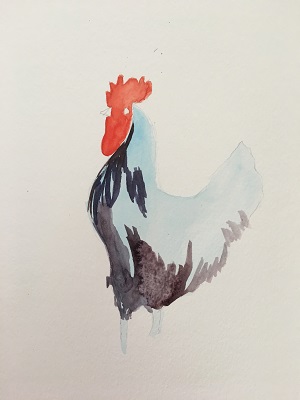 détail des plumes du coq à l’aquarelle