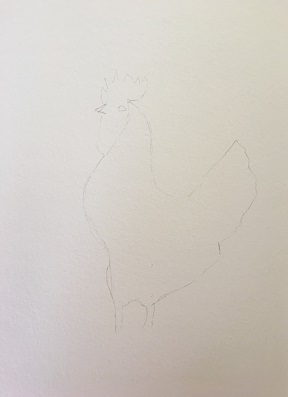 schéma simple de coq au crayon avant aquarelle