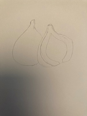 contours simples de la figue