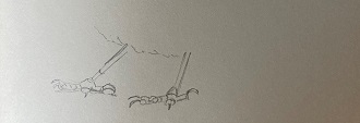 pattes oiseau dessin