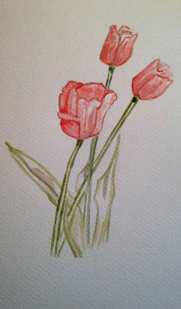 tulipes aquarelle dégradé facile débutant