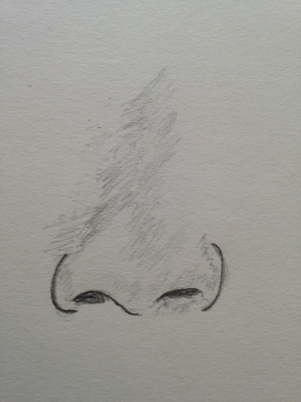 Comment Dessiner Un Nez En 5 Minutes - Art Express