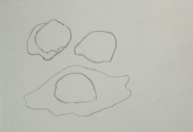 Étape 1 du dessin d'un œuf : contours légers des coquilles, du jaune et du blanc au crayon