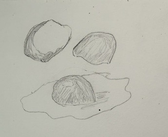 Étape 2 : premières ombres en hachures sur les coquilles et le jaune d'œuf